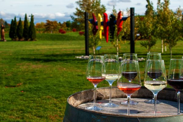 13th-Street-Winery-Wine-Tasting 13th-Street-Winery-Wine-Tasting